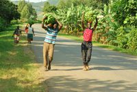 The Great Trekkers Safaris. A sustainable and fair tourism project 9 The Great Trekkers Safaris. A sustainable and fair tourism project 9