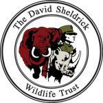 The David Sheldrick Wildlife Trust – Nairobi – Kenya