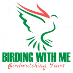 Birdwatching Tours – Uruguay