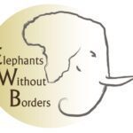 Elephants Without Borders – Kasane – Botswana