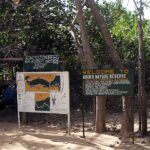 Abuko Nature Reserve – Lamin – Gambia