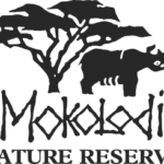 Mokolodi Nature Reserve – Gaborone – Botswana