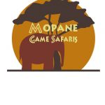 Mopane Game Safaris – Maun – Botswana