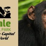 Kibale National Park – Uganda