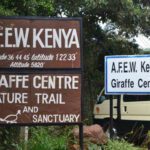 Giraffe Centre – Nairobi – Kenya