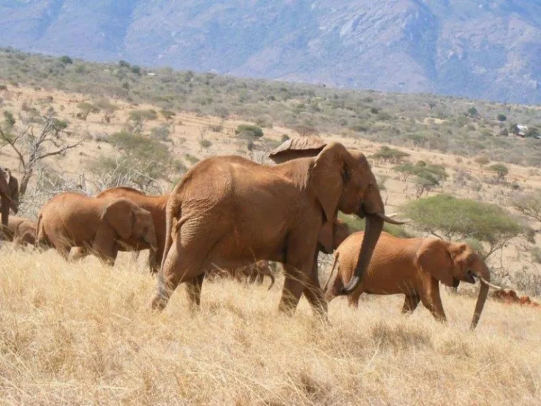 imagen-2_6 imagen-2_6