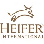 Heifer International Uganda – Kampala – Uganda