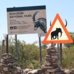 Khaudum National Park – Namibia