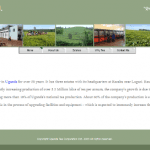 Uganda Tea Corporation Ltd - Kampala - Uganda 10 Uganda Tea Corporation Ltd – Kampala – Uganda
