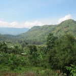 Mount Elgon Coffee Area – Uganda