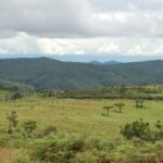 Nyika National Park – Malawi