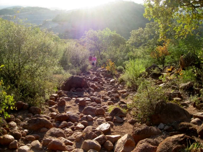 KGALE_003_PHOTO_BY_Athena-Lao_WIKIPEDIA