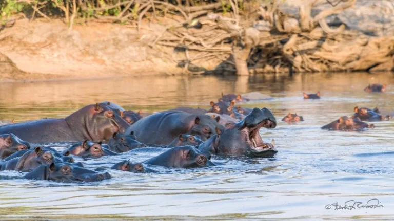 22578873909_118941c961_h 22578873909_118941c961_h