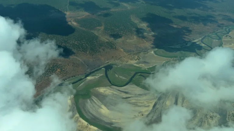 SAVUTINP_004_Photo_by_Reisigl_PIXABAY SAVUTINP_004_Photo_by_Reisigl_PIXABAY