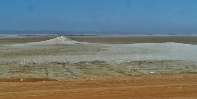 SKELETON_006_Photo_by_Zairon_WIKIPEDIA SKELETON_006_Photo_by_Zairon_WIKIPEDIA