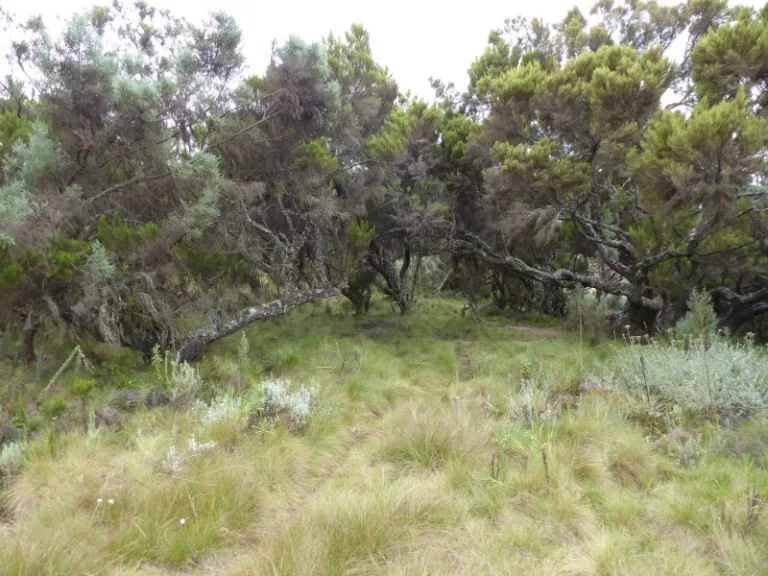 MOUNTELGON_0034PHOTO_BY_Gilles-Bassière_FLICKR