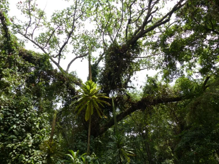 MOUNTELGON_003_PHOTO_BY_Gilles-Bassière_FLICKR