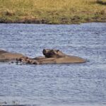 iSimangaliso Wetland Park – South Africa