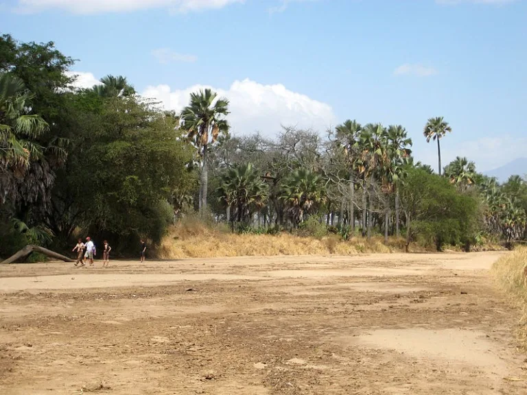 KIDEPO_001_PHOTO_BY_-Elecé_WIKIPEDIA-2