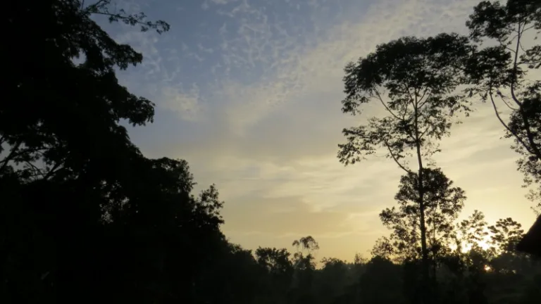 KIBALE_004_Photo_by_Follow-Alice_Pexels KIBALE_004_Photo_by_Follow-Alice_Pexels