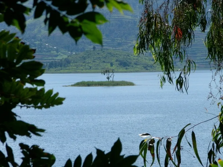 BUNYONYI_003_Photo_by_-Edirisa_WIKIPEDIA