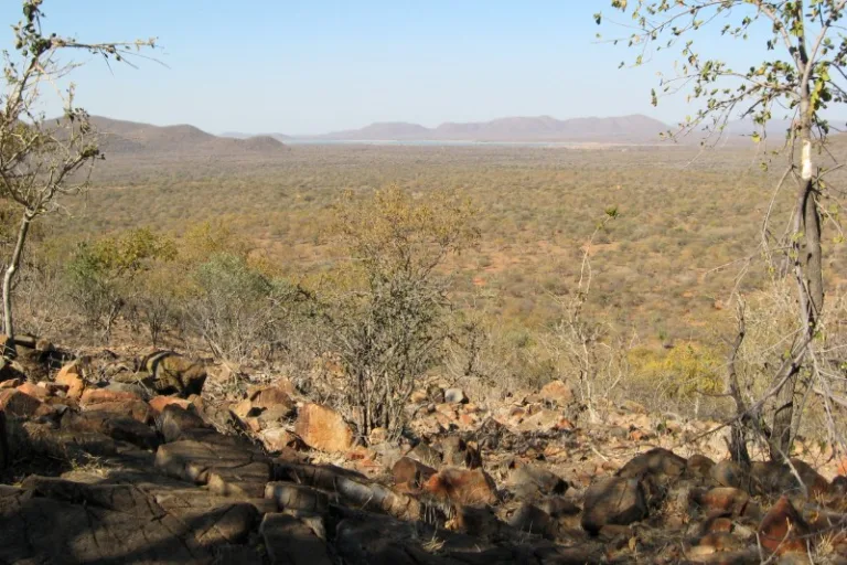 MOKOLODI_001_PHOTO_BYCretep_WIKIPEDIA MOKOLODI_001_PHOTO_BYCretep_WIKIPEDIA