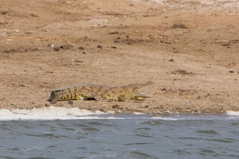 LAKEEDWARD_003_Duncan_Wright_WIKIPEDIA LAKEEDWARD_003_Duncan_Wright_WIKIPEDIA