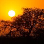 Kruger National Park – South Africa