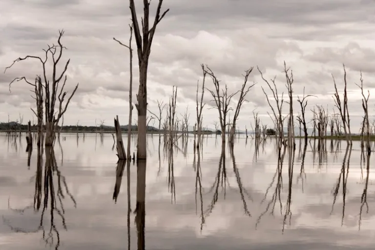 KARIBA_003_PHOTO_BY_Aristocrats-hat_FLICKR KARIBA_003_PHOTO_BY_Aristocrats-hat_FLICKR