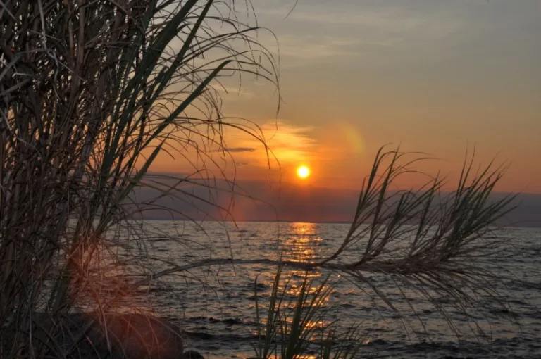 NIASSA_001_PHOTO_BY_USAID-in-Africa_FLICKR