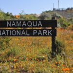 Namaqua National Park – Soebatsfontein – South Africa