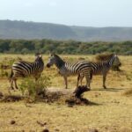 Lake Manyara National Park – Tanzania