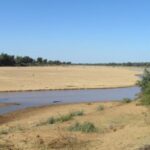 Limpopo National Park – Mozambique