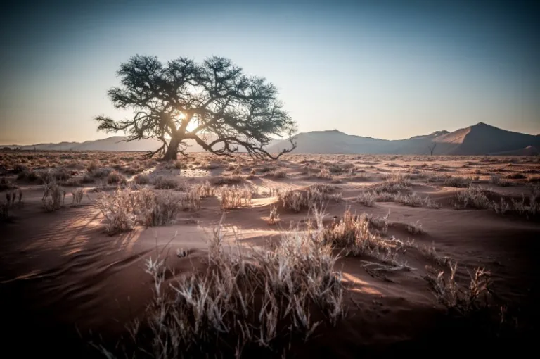 NAMIB_001_PHOTO_BY_-Jo-Wiggijo_PIXABAY NAMIB_001_PHOTO_BY_-Jo-Wiggijo_PIXABAY
