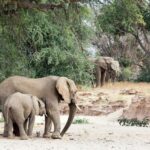 Atherstone Nature Rerserve – Limpopo – South Africa