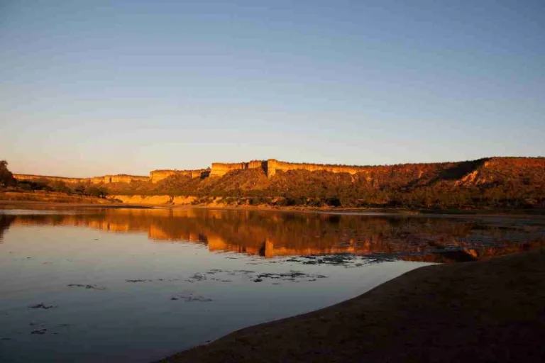 GONAREZOU_002_Photo_by_ZIMPARKS GONAREZOU_002_Photo_by_ZIMPARKS