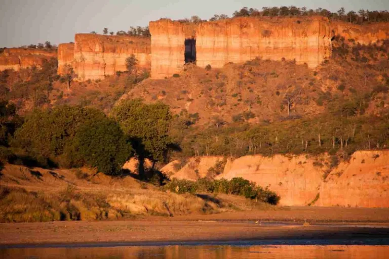 GONAREZOU_004_Photo_by_ZIMPARKS GONAREZOU_004_Photo_by_ZIMPARKS