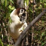 Isalo National Park – Madagascar