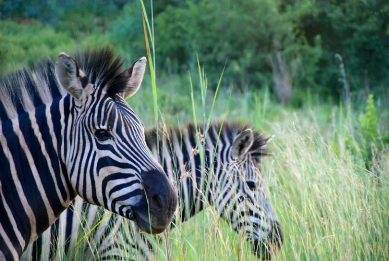 GROENKLOOF_003_PHOTO_BY_Ryan-Kilpatrick_FLICKR GROENKLOOF_003_PHOTO_BY_Ryan-Kilpatrick_FLICKR