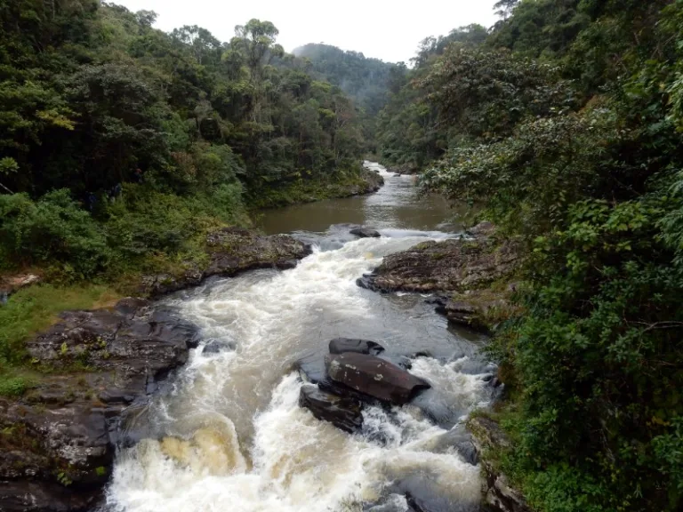 RANOMAFAMA_002_PHOTO_BY_Johan-Siegers_FLICKR RANOMAFAMA_002_PHOTO_BY_Johan-Siegers_FLICKR