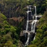 Udzungwa National Park – Tanzania