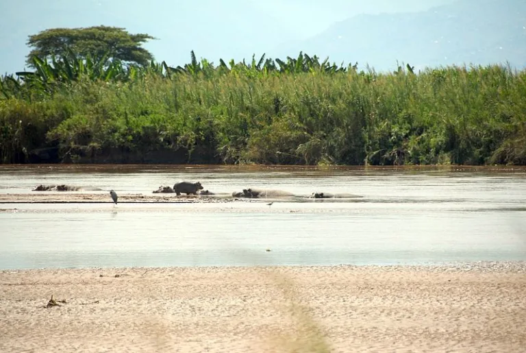 RUSIZI_002_PHOTO_BY_Dave-Proffer_WIKIPEDIA