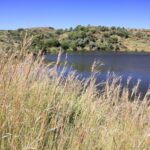 Suikerbosrand Nature Reserve – Gauteng – South Africa