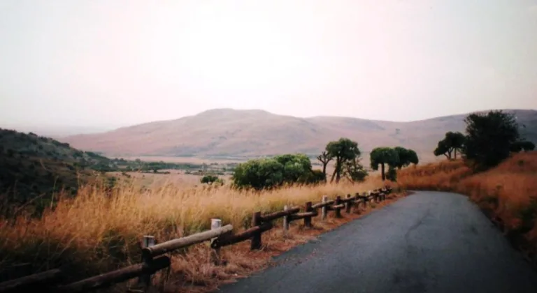 SUIKNR_003_Photo-by-Genet SUIKNR_003_Photo-by-Genet