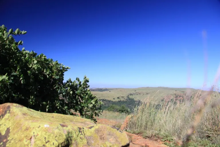 SUIKNR_004-Photo-by-Derek-Keats SUIKNR_004-Photo-by-Derek-Keats