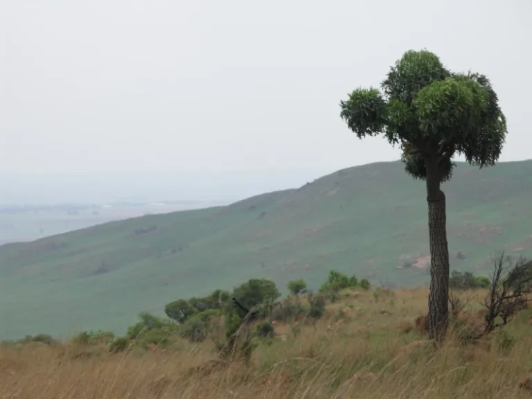 SUIKNR_005_Photo-by-NJR-ZA SUIKNR_005_Photo-by-NJR-ZA