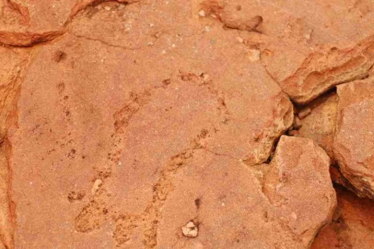 MATSIENG_005_PHOTO MATSIENG_005_PHOTO