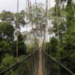 Kakum National Park – Ghana