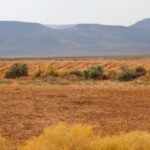 Tankwa Karoo National Park – Calvinia – South Africa