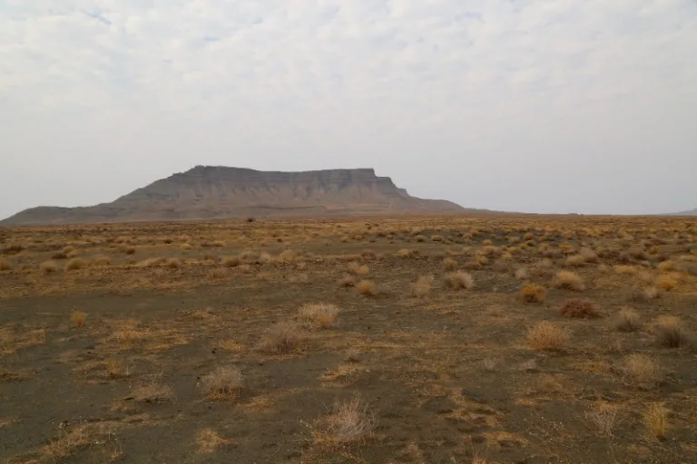 TANKWA_002_PHOTO_BY_Dr.-Alexey-Yakovlev_FLICKR TANKWA_002_PHOTO_BY_Dr.-Alexey-Yakovlev_FLICKR